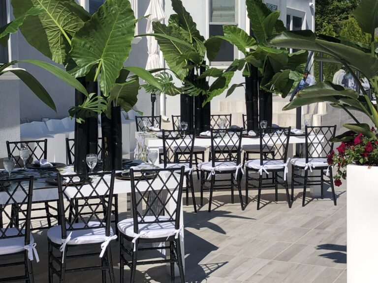 Veronica Chair Brooklyn Party Rental Party & Tent Rental in